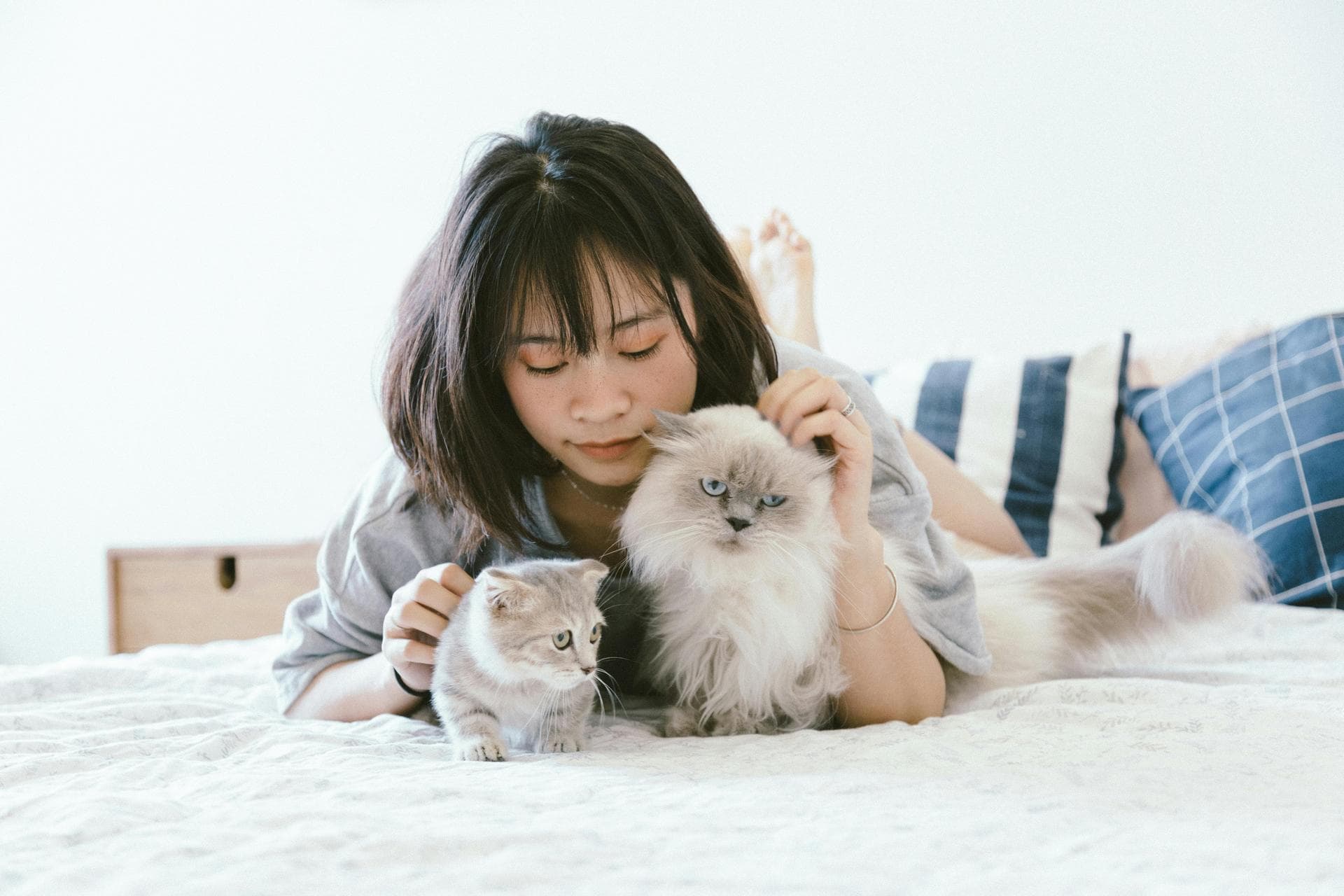 Dog & Cat Vets in Ballwin